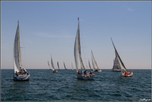 trofeo della Laguna 2015