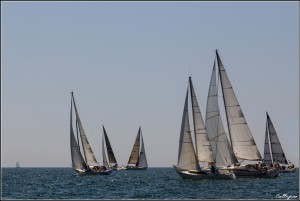 trofeo della Laguna 2015