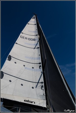 trofeo della Laguna 2015
