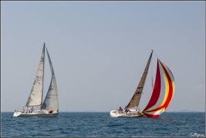 trofeo della Laguna 2015