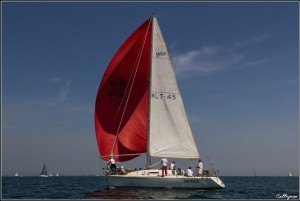 trofeo della Laguna 2015