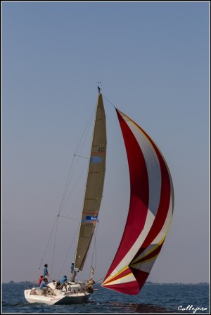 trofeo della Laguna 2015