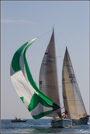 trofeo della Laguna 2015