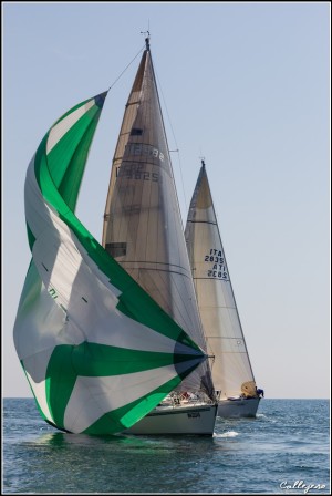 trofeo della Laguna 2015